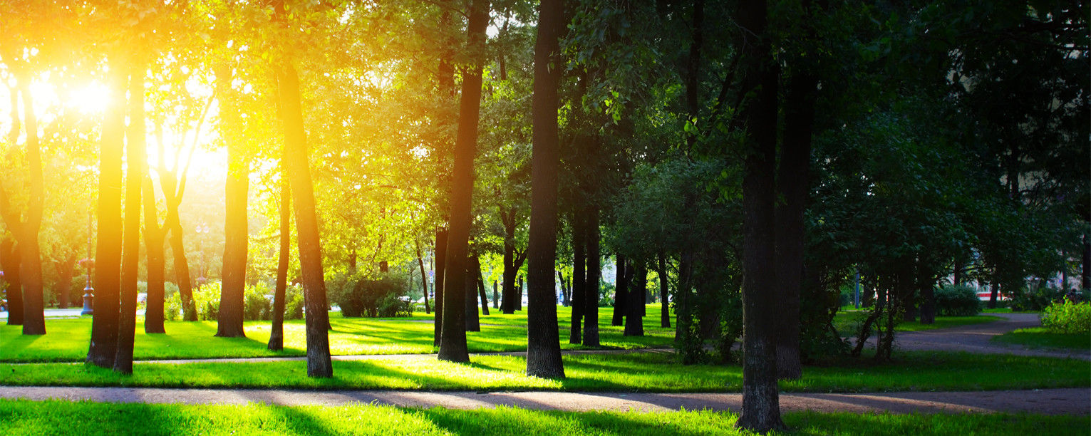 ZA PROCHÁZKOU I REKREAČNÍM SPORTEM